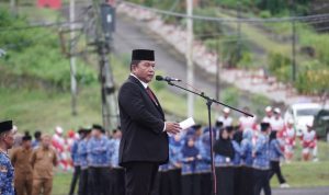 f30ea246-afbb-4601-8349-ddb3f7715d9d